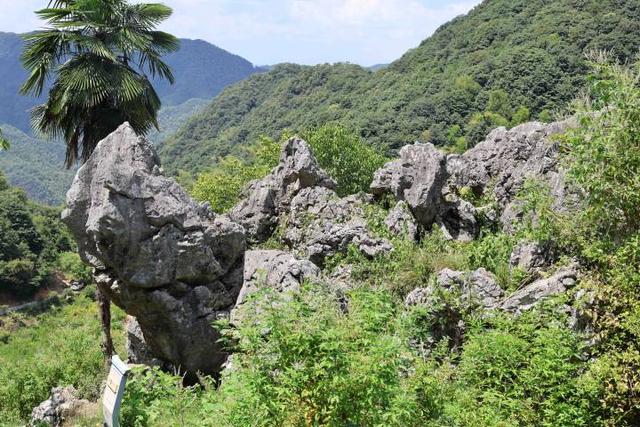 “富阳仙人洞”！又一个山洞火了