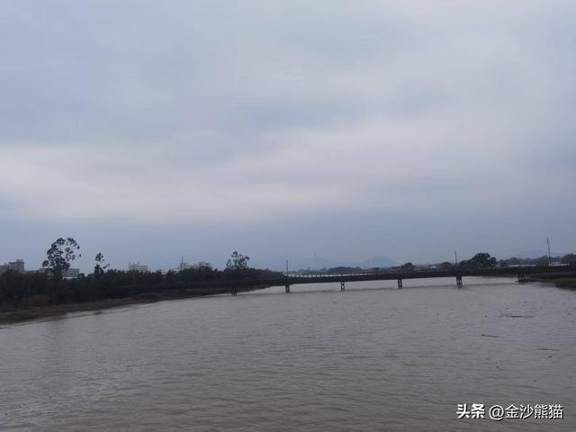 从厦门到漳浦诞生此行第一胎 品美味河豚 双龙连续第三年千里双骑9