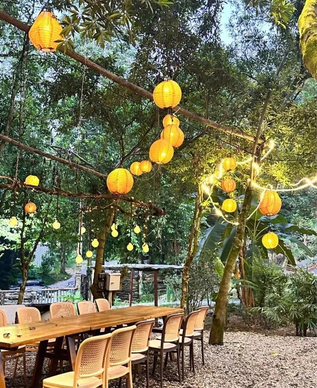 长岭街“美丽庭院”颜值出圈！好吃趣玩，一天根本逛不完