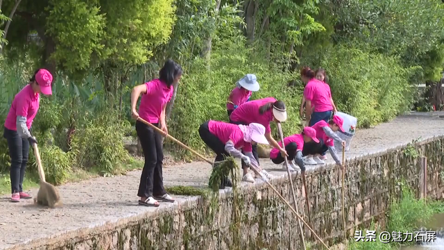 这些年，异龙湖的这“一抹蓝”更动人了