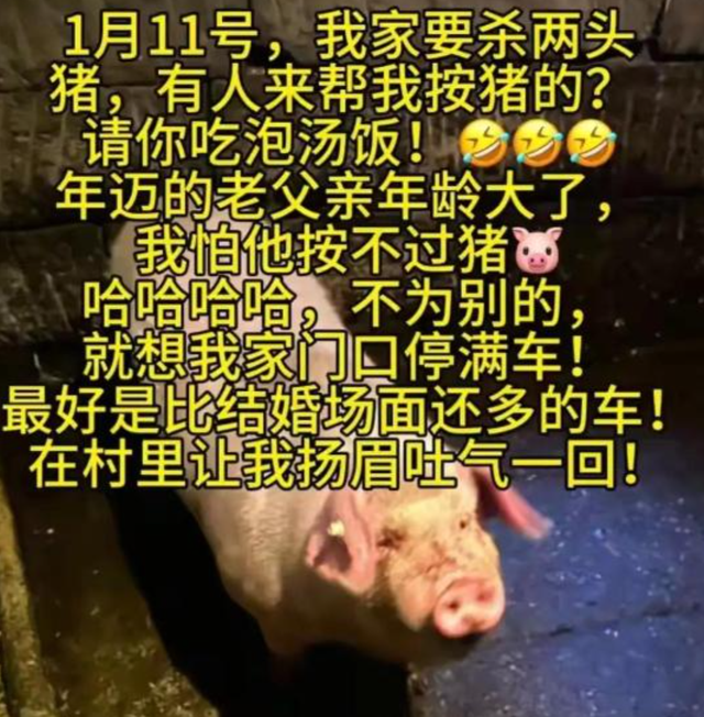 呆呆妹做梦没想到，杀猪宴收官仅1天	， 一家人就走上大衣哥的老路