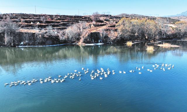 一城烟火枕清波——我市幸福河湖生态长卷徐徐展开