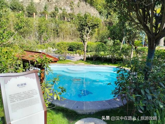 教师9.10免费畅玩略阳汉析里：暖泉解乏，水上撒欢，过个轻松节