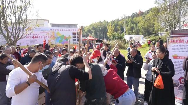 南雄举办银杏文化节暨“杏福时光”银杏美食节