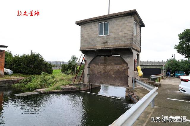 大西坝：粉黛烂漫，赏江景，游古村