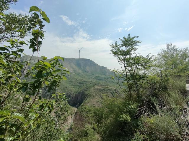 韩城伏峰川枝子庙