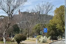 上海最不幸的别墅区，绷不住了图片
