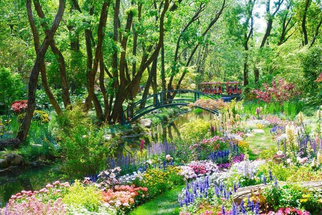 上海值得去的6个公园推荐！全部免费，好看又好玩！你都去过几个