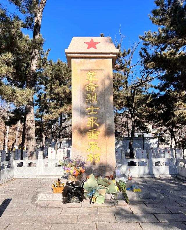 我是杭州人，从山东东明县回来，有3个疑惑萦绕心头。