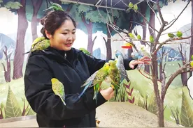 “到店撸宠”渐成时尚图片