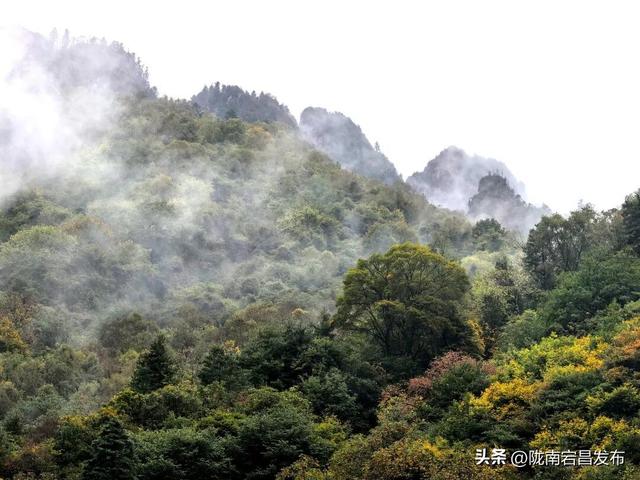 烟雨官鹅：国庆里的一轴流动水墨