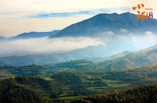 【小陇画报·430期】康乐：深秋美景如画卷 韵味盎然醉眼眸