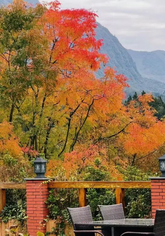 “秋假”开耍！带着小宝来雅安准没错！