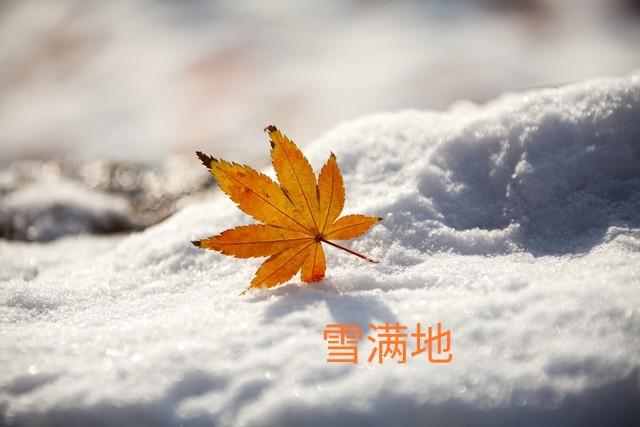 一年四季哪个季节的景色最美