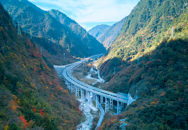 走不出这画了，我已被平武的彩林迷倒！