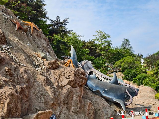 大连海之韵公园·棒槌岛