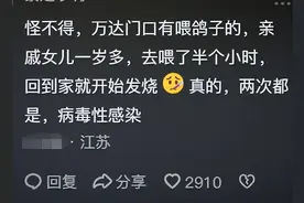 难怪说鸽子是天上的老鼠!活了几十年没想到鸽子这么危险,保命知识图片