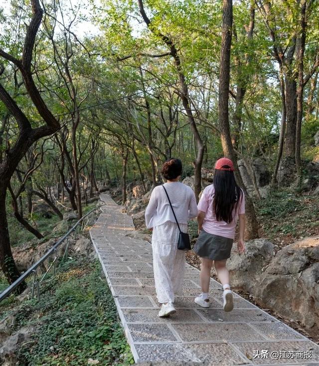 常州唯一！度假区成功入选“2025旅游项目高质量建设运营典型案例”