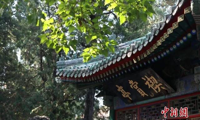 法国总统马克龙低调参观乾隆花园，故宫再成中法文化互动新景点