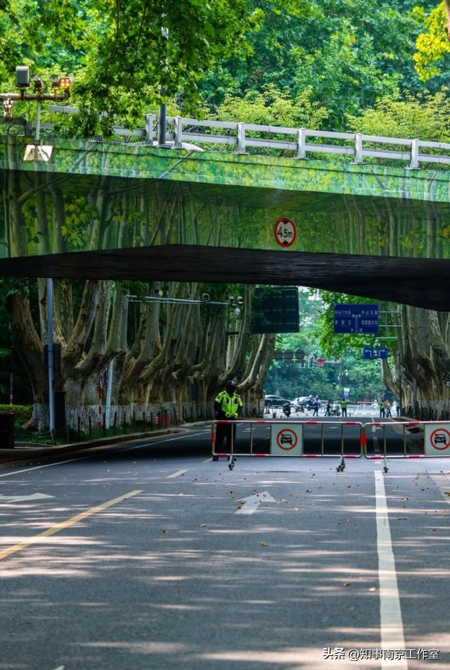 这块南京顶流打卡地居然变成这样了？