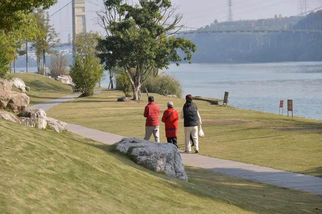 冬日暖阳下的“小美满”，藏在金堂这片草坪上！