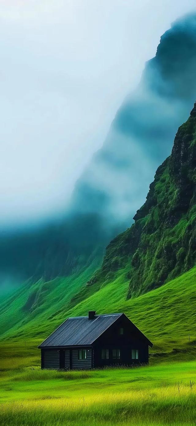 手机壁纸精美图片（141）