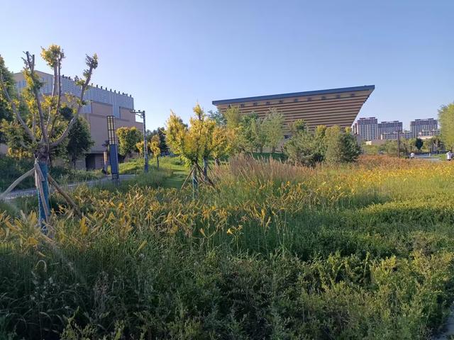 又踏甘肃地之五十三 武威篇之十七 河西都会