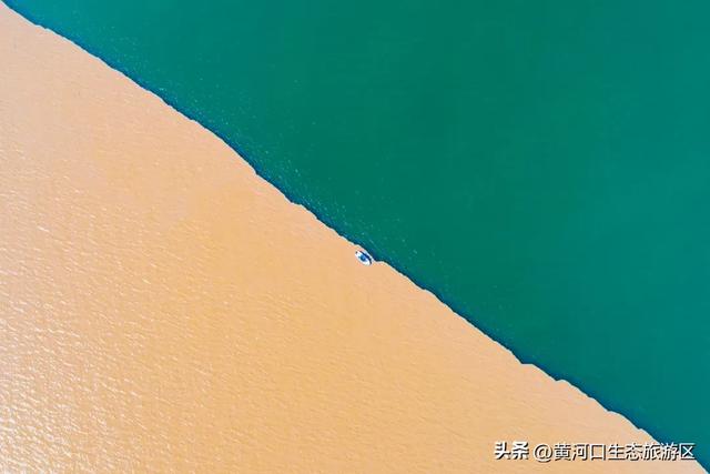 沿着黄河遇见海｜市文旅集团推出益智文创产品，解锁生态与匠心的潮玩新体验