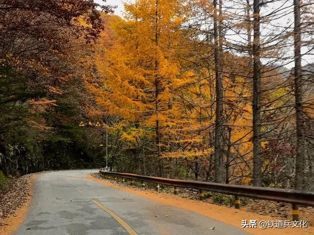 车过神农架【原创】作者：原铁十师陶玉和