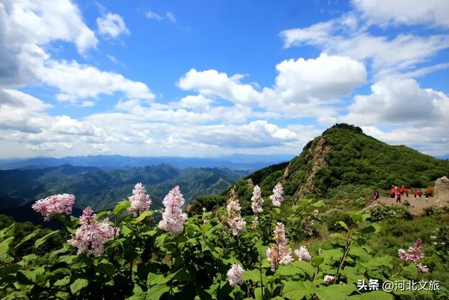 国庆保定“不基础” 玩法 | 6条精品线路玩转保定→