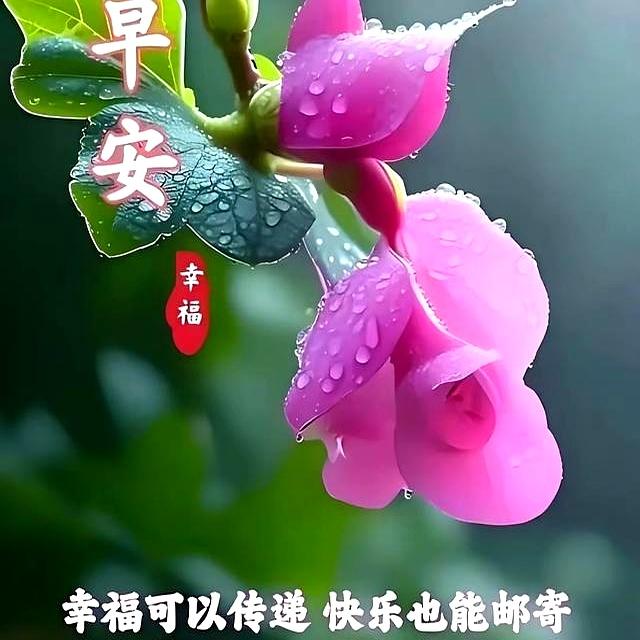 2025年10月9日！星期四，农历八月十八，早安吉祥祝福语！