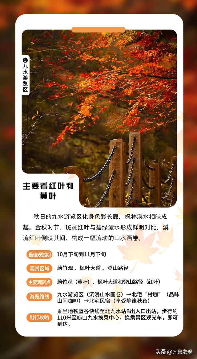 乘着地铁逛青岛丨神清宫350岁古树红了， 坐地铁去“打卡”特方便