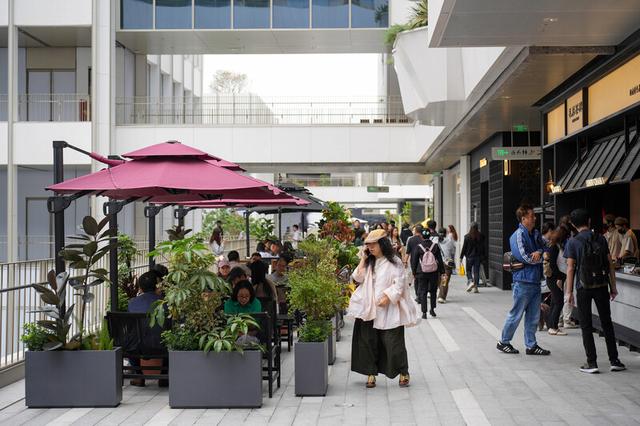 深圳湾“空中魔法走廊”引发广泛关注！2公里长廊开启逛吃游赏新体验