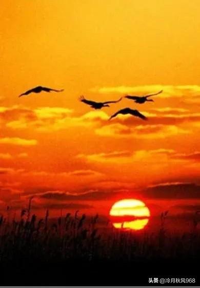 夕阳下的思绪——永恒的家国情怀