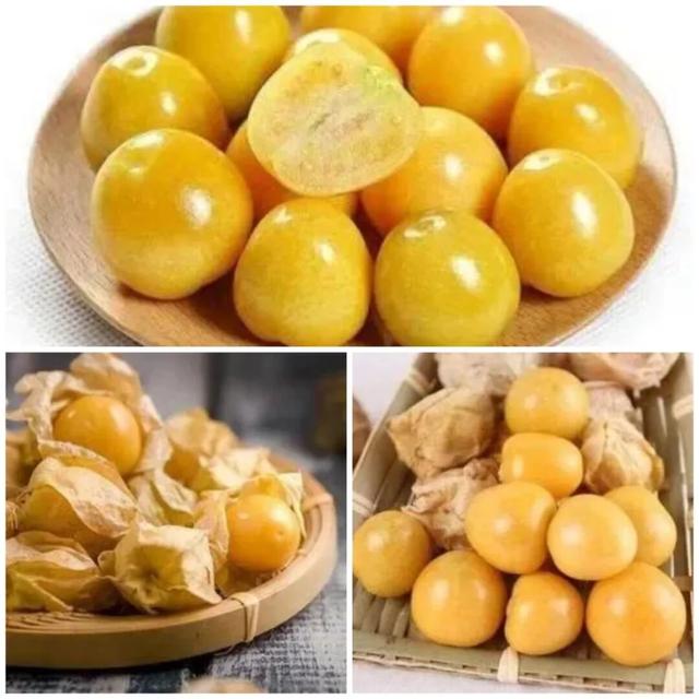 【畅游双城】‖胜利的出发地——福运双城（成）