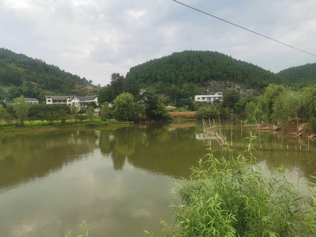 遵义新蒲：三渡有个“杨柳田场”