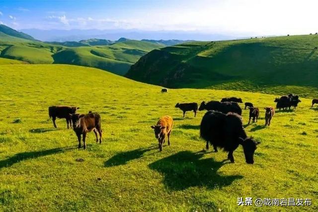 “双节”出游正当时！宕昌美景已 “妆” 好，只待你的脚步