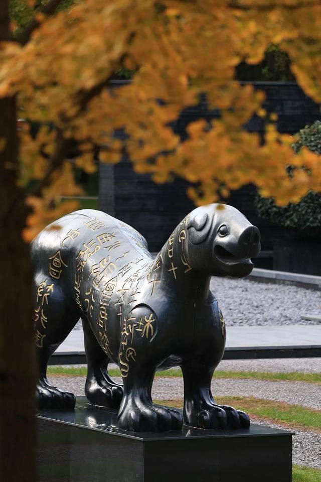 顶流回归!西安5个绝美银杏打卡地!