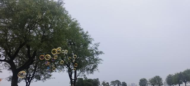 汉宫秋色