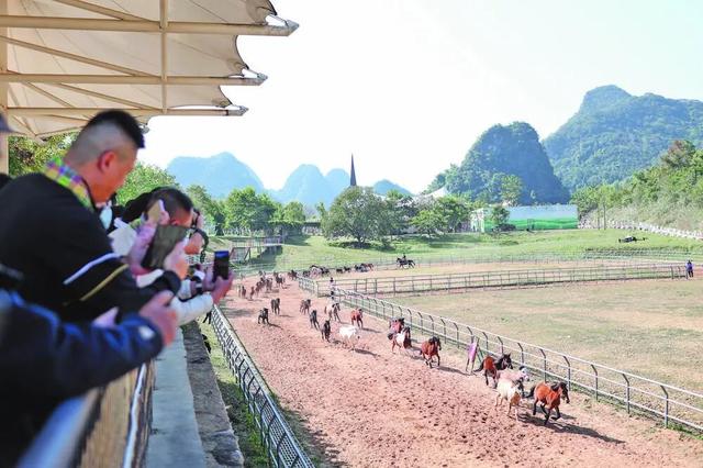 百色文旅大会后，德保靖西凌云乐业竟变成这样！