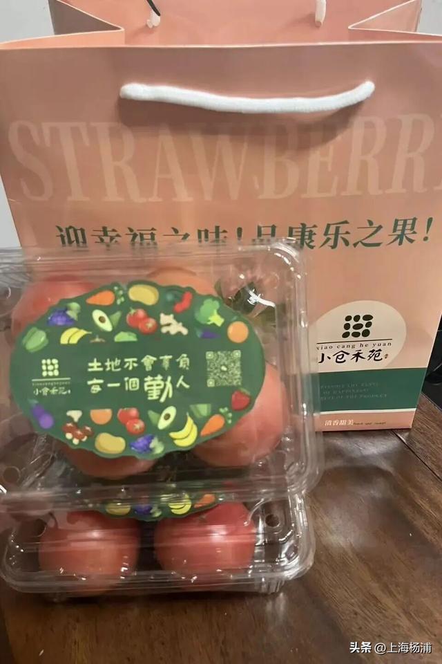 周末来复兴岛，做休闲“岛民”