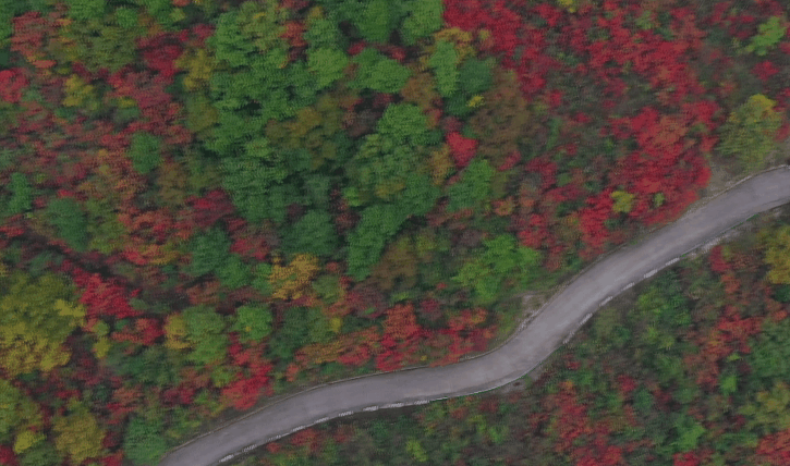 接下来的一个月，来汉中赏红叶就对了