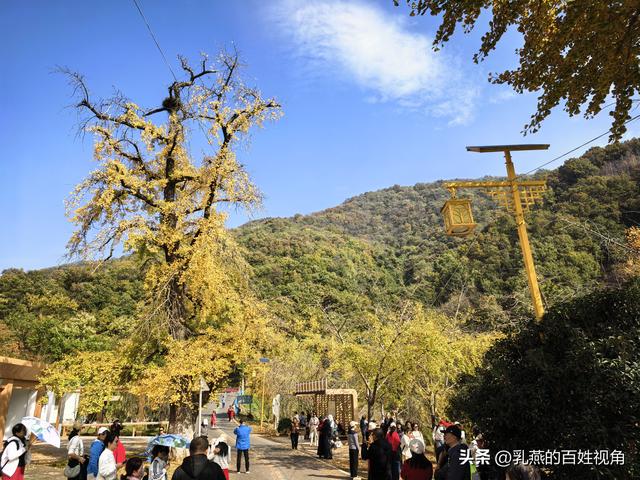 一场浪漫的出走，被惭愧偷换了终局