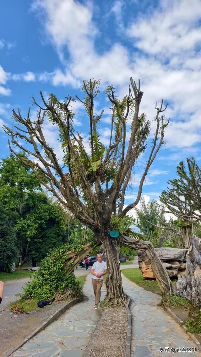 【每日一景】云南德宏勐巴娜西珍奇园