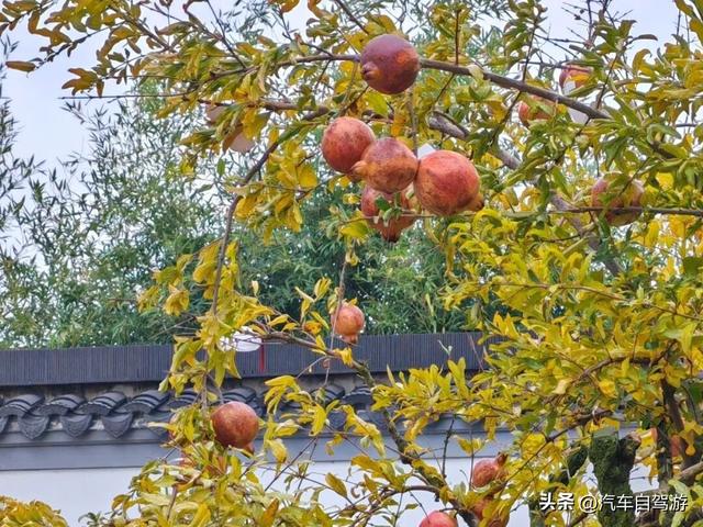 安徽自驾｜淮北龙脊天路（皖北川藏线）南线攻略，附地图。