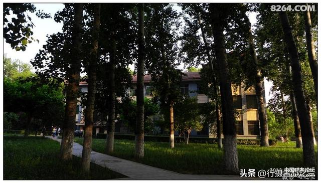 山东行游影记（14）—济南山东大学（一）