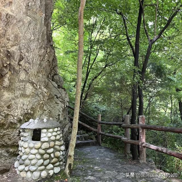 进山纳凉来黑河国家森林公园，让你逃离酷暑，一键降温！