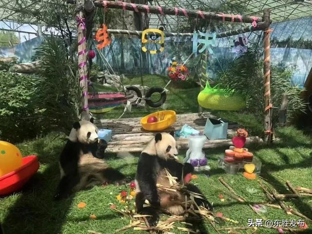 本周六，来给“姐俩”过生日！