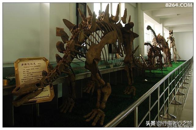 山东行游影记（26）—平邑天宇自然博物馆（一）
