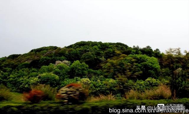 从广丰到鹰潭车拍之二（江西之旅第六十篇）